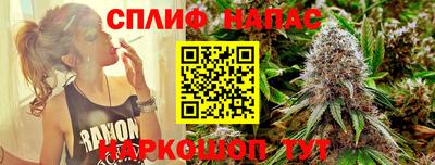 шишки Краснознаменск
