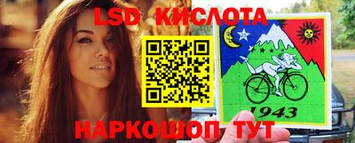 шишки Краснознаменск