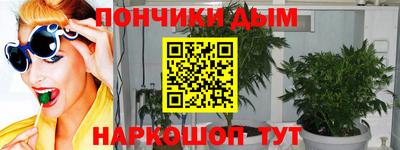 крисы Абакан