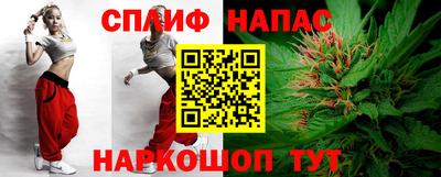 крисы Абакан