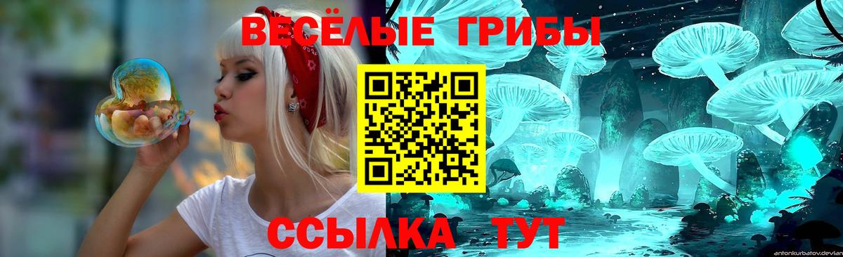 Псилоцибиновые грибы Magic Shrooms  Канаш  Псилоцибиновые грибы мицелий 