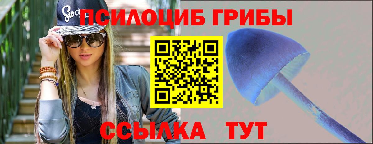 Псилоцибиновые грибы Cubensis  Вход с VPN  Канаш 