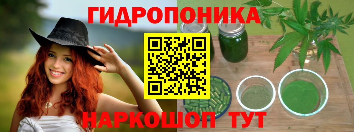Марихуана VHQ  Бошки марихуана VHQ  Конопля тримм  Вход с VPN  Канаш 